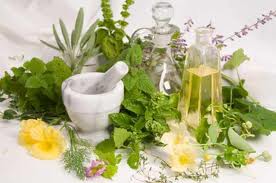 phytotherapy phytotherapy