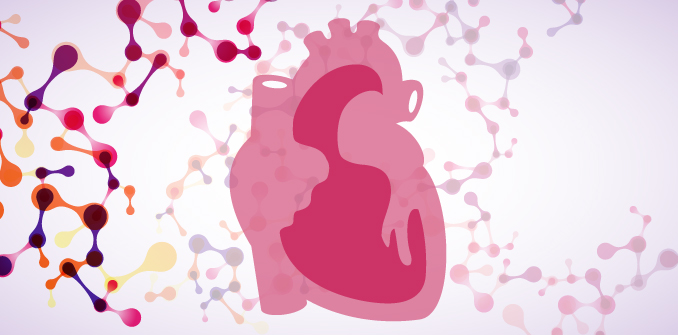 Εργαστηριακά Κύτταρα Μυοκαρδίου θα Βοηθήσουν για Λιγότερο Τοξικά Φάρμακα Εργαστηριακά Κύτταρα Μυοκαρδίου θα Βοηθήσουν για Λιγότερο Τοξικά Φάρμακα