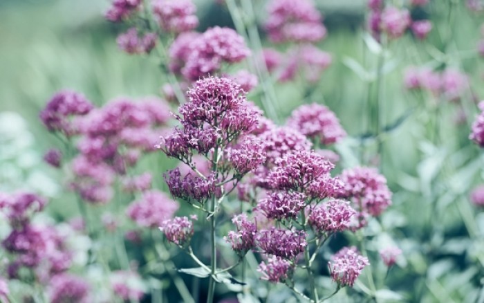 Εναλλακτικές Προσεγγίσεις στο Εργαστήριο του Φαρμακείου Εναλλακτικές Προσεγγίσεις στο Εργαστήριο του Φαρμακείου