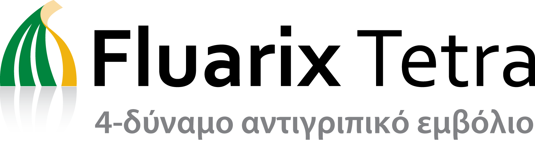 FluarixTetra FluarixTetra Logo with Tagline
