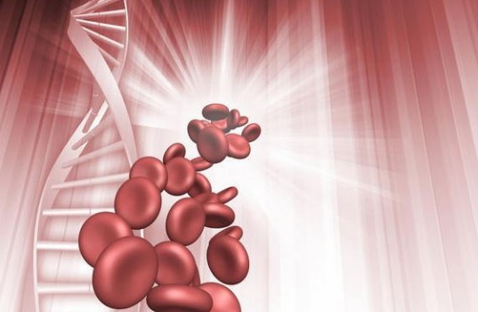 Η Συνάντηση των Ανθρώπων της Θαλασσαιμίας