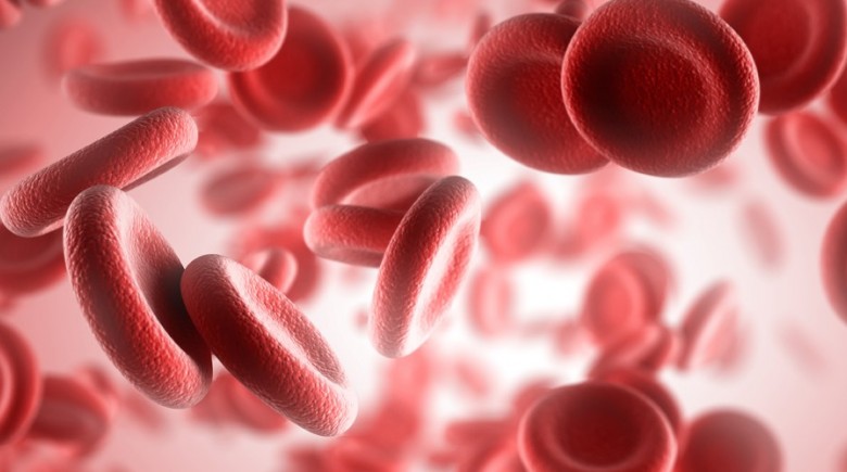 Roche Diagnostics Καινοτόμες Λύσεις στον Τομέα της Αιματολογίας και Αιμόστασης P1