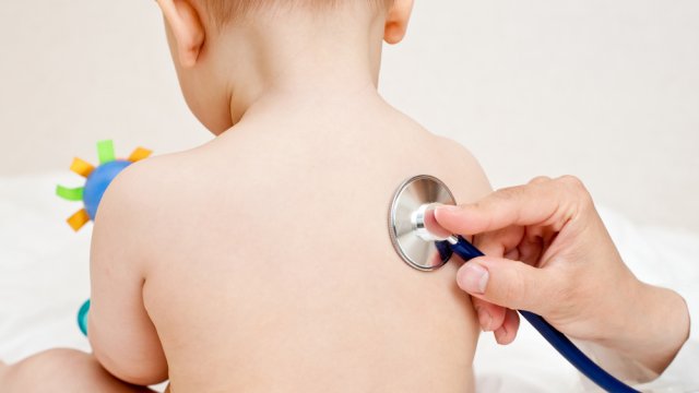 Η μόλυνση ξεκινά από μια ρινοφαρυγγίτιδα, που χαρακτηρίζεται από έναν ξηρό βήχα και μια ρινική συμφόρηση πριν πλήξει τους βρόγχους.