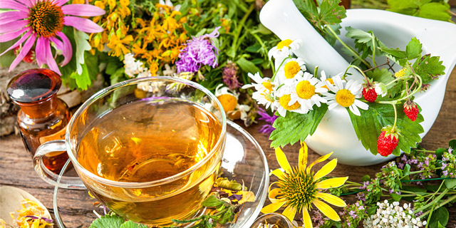 Πολλά φάρμακα παρασκευάζονται αποκλειστικά από φυτά. Πολλά φάρμακα παρασκευάζονται αποκλειστικά από φυτά.