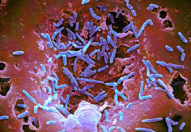 Το ανθρώπινο μικροβίωμα χρήζει μεγαλύτερης έρευνας και περαιτέρω διερεύνησης, λόγω της μεγάλης του σημασίας για την υγεία του ανθρώπου.