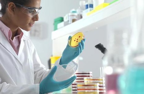 Οι ερευνητές «εκπαιδεύουν» τον αλγόριθμο να εντοπίζει όλα τα μόρια, που είναι ικανά να καταπολεμήσουν τα βακτήρια.