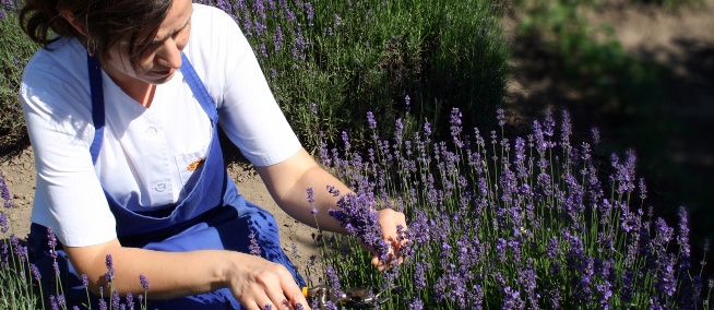 Γυναίκα και Φυτοθεραπεία
