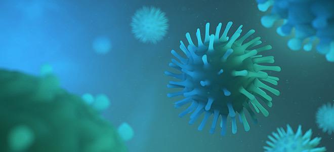 Ένα άλλο πράγμα που έγινε ιδιαίτερα συνειδητό σε αυτήν την πανδημία, είναι η σημασία που δόθηκε στο έργο των φαρμακοποιών, των ιατρών, των νοσηλευτών, και των άλλων επαγγελμάτων υγείας που συνδράμουν στην αντιμετώπιση αυτής της πανδημίας.