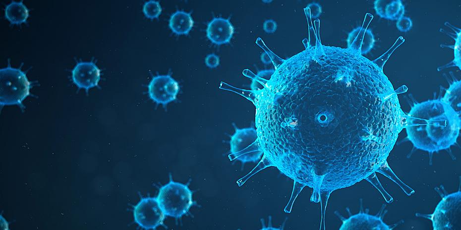 Το πιο σημαντικό όμως είναι ότι φαίνεται ότι αυτά τα αντισώματα έχουν δραστικότητα και έναντι της πρωτεΐνης-ακίδας του SARS-CoV-2. Το πιο σημαντικό όμως είναι ότι φαίνεται ότι αυτά τα αντισώματα έχουν δραστικότητα και έναντι της πρωτεΐνης-ακίδας του SARS-CoV-2.