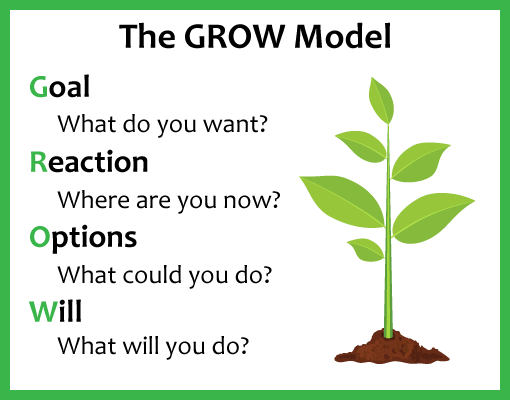 This is globally one of the most commonly used coaching models, and for good reason!