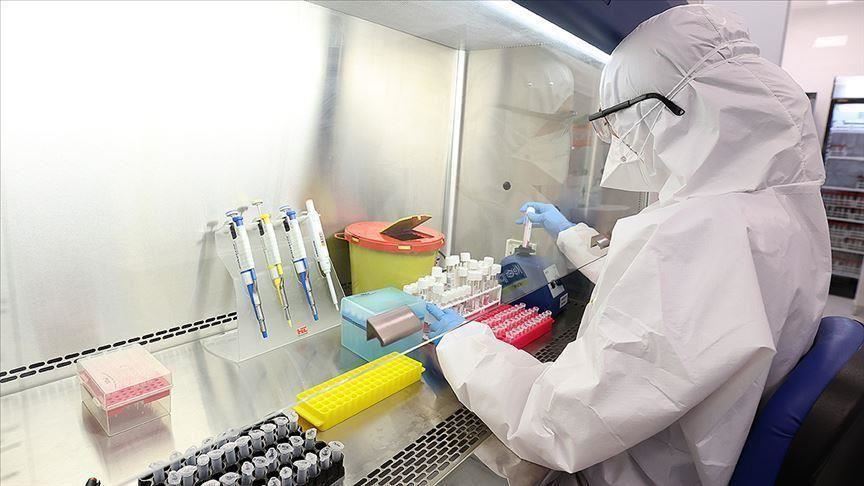 Η Παρεξήγηση και η Παραπληροφόρηση Σχετικά με τον Υποτιθέμενο Μικρότερο Αριθμό των Νεκρών από COVID-19.