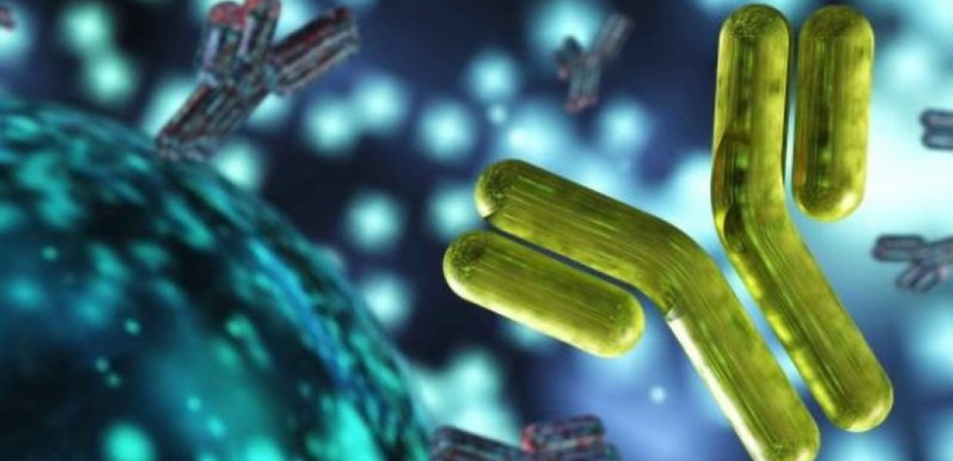 Κορωνοϊός - Η Ανάπτυξη Μονοκλωνικών Αντισωμάτων Αποτελεί Πιθανή Θεραπευτική Επιλογή.