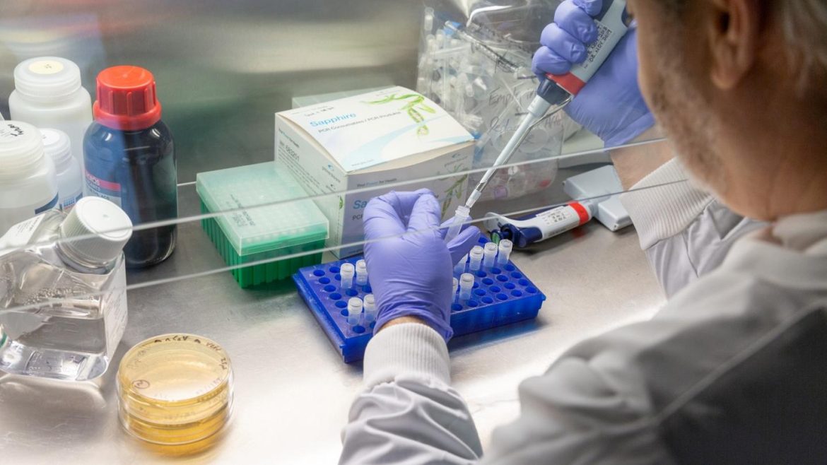 Οι Αβεβαιότητες Σχετικά με τα Εμβόλια κατά του Κορωνοϊού