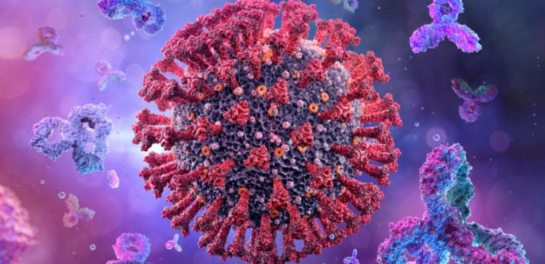 Μία από τις Πολλές Μεταλλάξεις του Κορωνοϊού Μπορεί να Ξεφύγει από την Εξουδετερωτική Δράση των Αντισωμάτων.