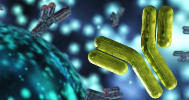 Αντισώματα για το Νέο Κορωνοϊό SARS-CoV-2 Προϋπάρχουν σε μη Μολυσμένα Άτομα.