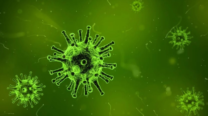 Πέρυσι, ο FDA ενέκρινε το πρώτο θεραπευτικό «νανόσωμα», που ονομάζεται caplacizumab, μια θεραπεία για μια σπάνια και σοβαρή αιματολογική νόσο, την θρομβωτική θρομοβοπενική πορφύρα.