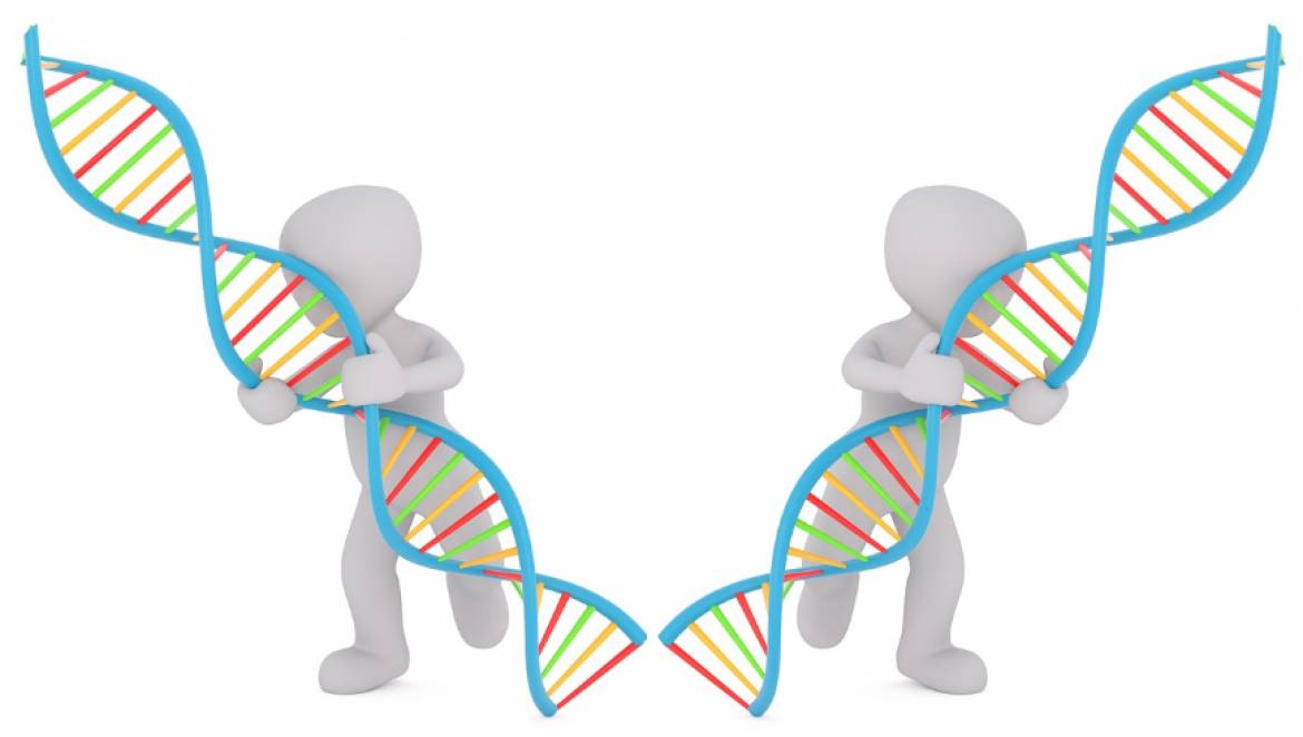 Μερικοί Πανομοιότυποι Δίδυμοι δεν Έχουν Πανομοιότυπο DNA.