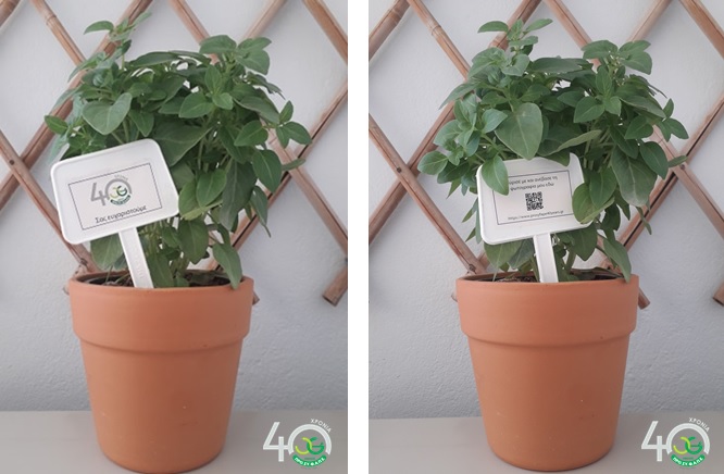 Γλαστράκια με Βασιλικούς Μοίρασε σε Όλα τα Φαρμακεία και τους Εργαζόμενούς του ο Όμιλος ΠΡΟ.ΣΥ.Φ.Α.Π.Ε.