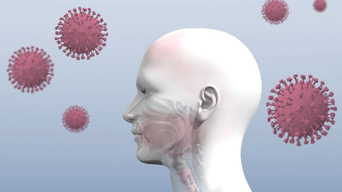 Το 80% των Ασθενών Covid-19 Ανακτούν τη Γεύση και την Όσφρηση σε Ένα Εξάμηνο.