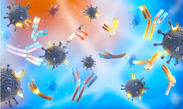 Αποτελεσματικό το Bebtelovimab Έναντι των Τριών Υποπαραλλαγών της Όμικρον.