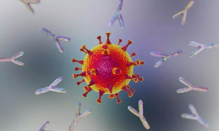 Αυτά τα Απαραίτητα Μονοκλωνικά Αντισώματα.