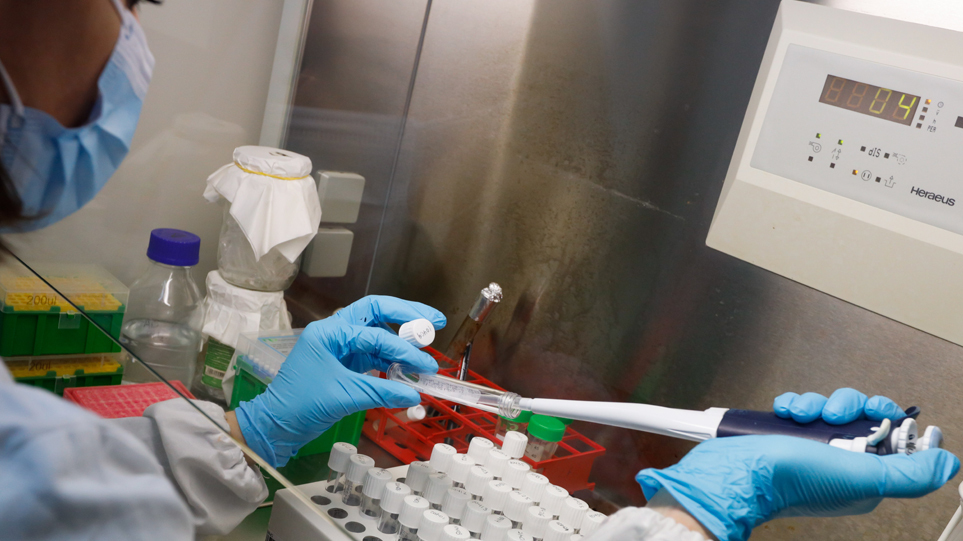 ΕΟΔΥ: Το Πρώτο Κρούσμα Ευλογιάς των Πιθήκων στη Χώρα μας.