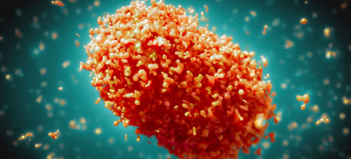 Τα Επιβεβαιωμένα Κρουσμάτα Λοίμωξης από τον Ιό της Ευλογιάς των Πιθήκων.