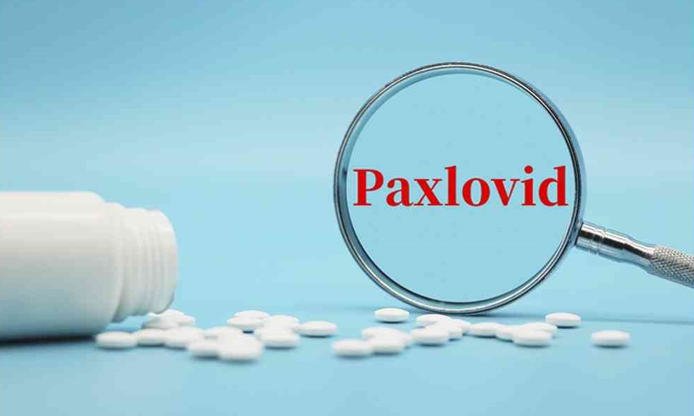 Η Υποτροπή της COVID-19 Μετά τη Λήψη Paxlovid δεν Οφείλεται σε Ελλιπή Ανοσολογική Απόκριση.