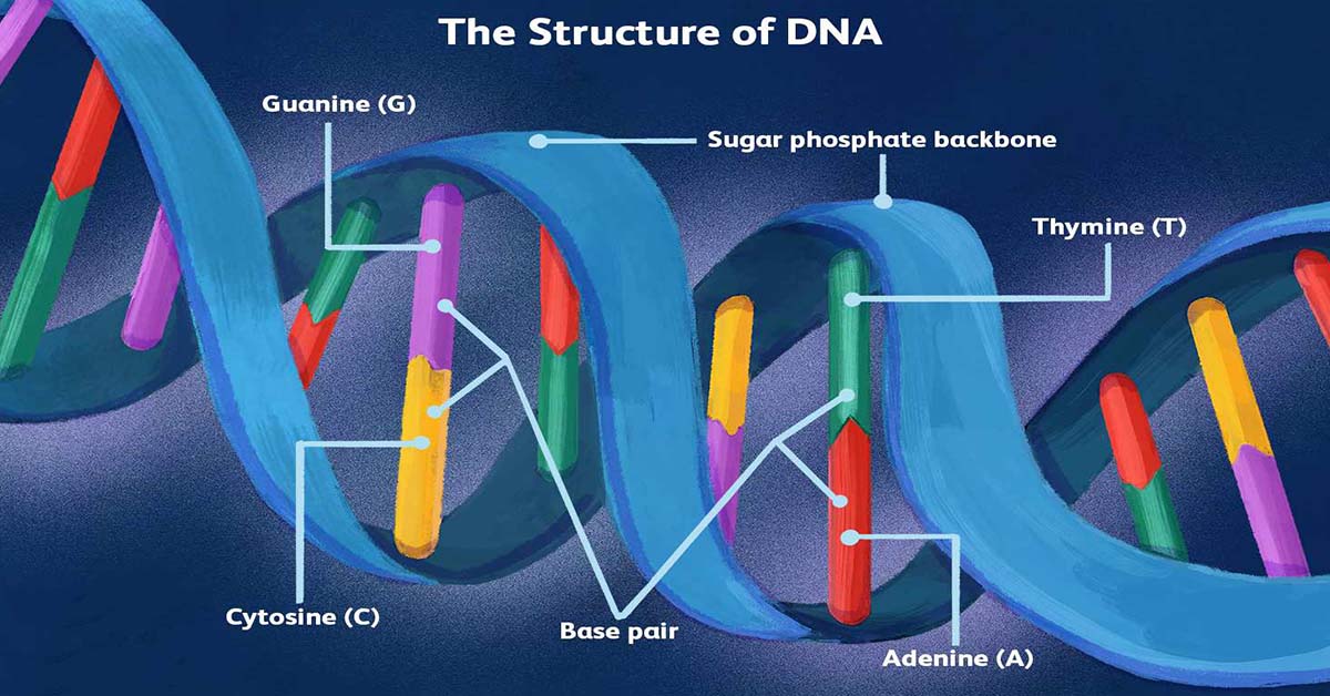 Τουλάχιστον 155 Γονίδια Έχουν Εμφανιστεί Αυθόρμητα στο Ανθρώπινο Γονιδίωμα Τουλάχιστον 155 Γονίδια Έχουν Εμφανιστεί Αυθόρμητα στο Ανθρώπινο Γονιδίωμα