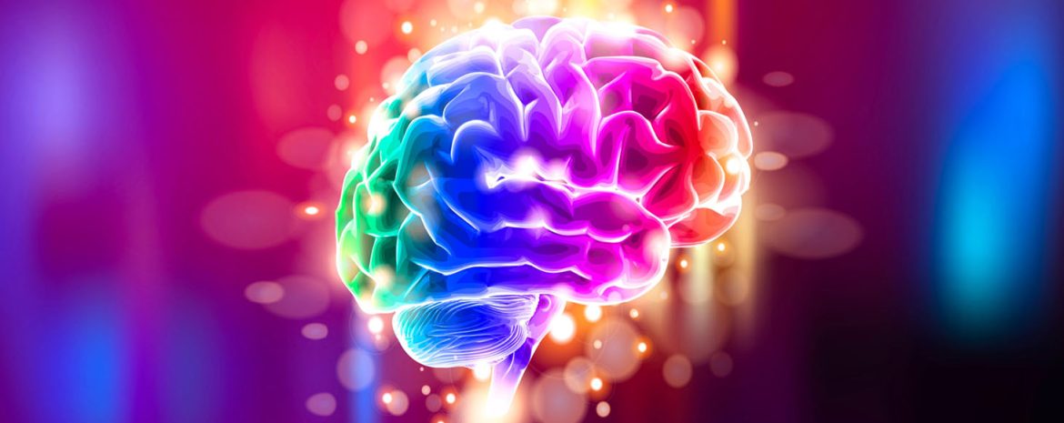 Απρόσμενη Ανακάλυψη για τη Λειτουργία του Εγκεφάλου από Έλληνες Επιστήμονες στη Δανία