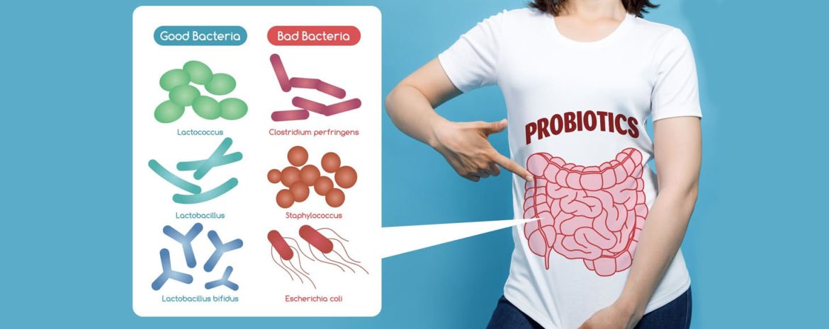 Προβιοτικά και Ελαιόλαδο για Έναν Υγιή Εγκέφαλο