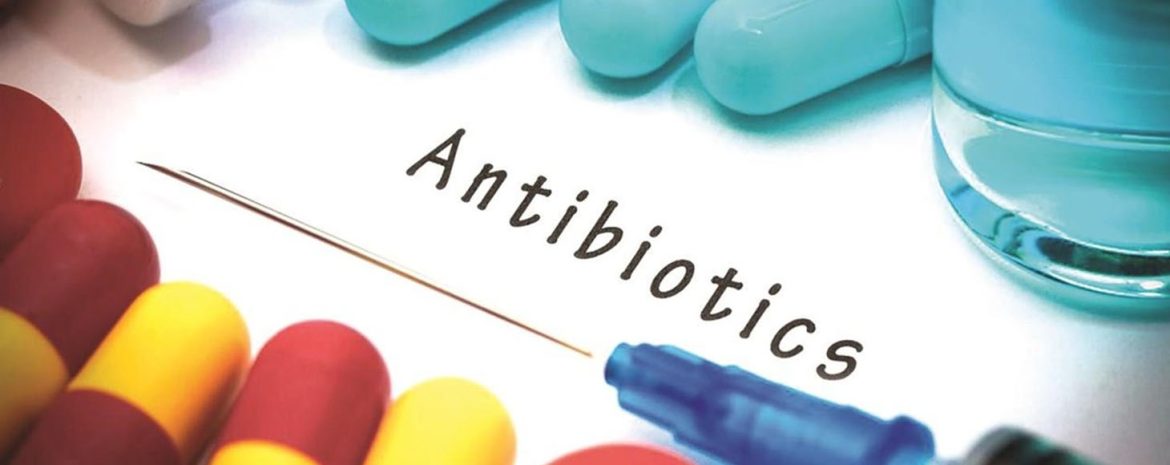 Μαζί με τη φαγοθεραπεία και τα αντιμικροβιακά πεπτίδια, τα μονοκλωνικά αντισώματα αποτελούν προηγμένη οδό καταπολέμησης της ανθεκτικότητας στα αντιβιοτικά