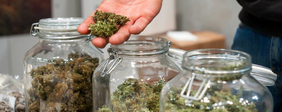 Ευεργετικά Οφέλη Κάνναβης στην Ογκολογία