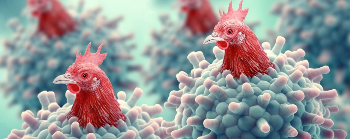 Γρίπη των Πτηνών: Ανησυχία για Επεισόδια Μετάδοσης στον Άνθρωπο