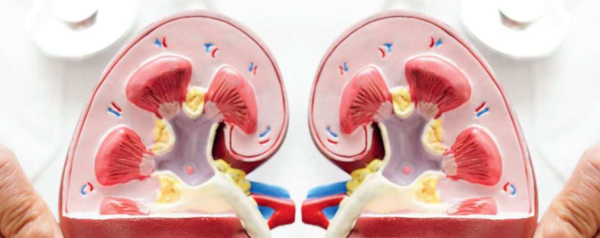 Υπάρχουν διάφοροι τρόποι να μειωθεί το τσόυξιμο ο πόνος και η πολυουρία σε μια ουρολόιμωξη