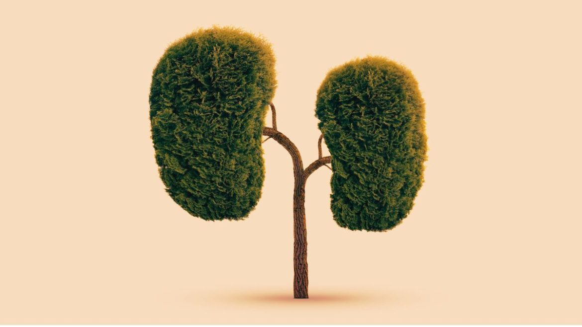 ΠΡΟΛΑΜΒΑΝΩ