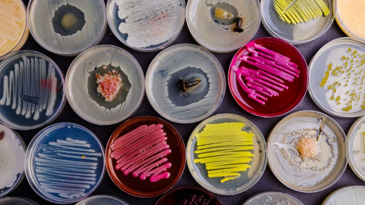 Pharma Article Covers – 2025-10-29T163252.334 Μικροβιακή αντοχή Αντιβιοτικό